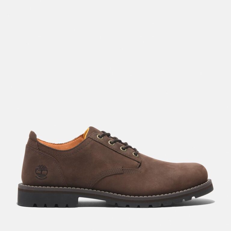 Men’s Redwood Falls Lace-Up Waterproof Shoe